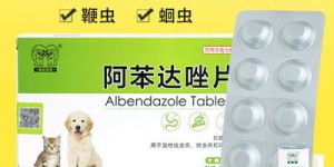 宠物药品副业涵盖哪些领域？新手入门必知详情