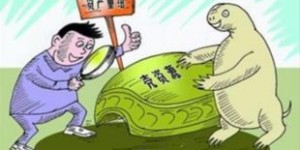 借壳上市如何实现盈利？探索多种赚钱途径