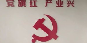 中国散户为何普遍难以实现高收益？