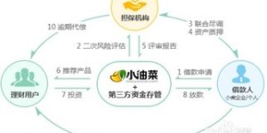 主播如何选择投资项目实现财富增长？