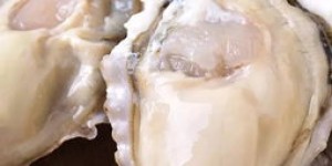 乳山干生蚝经营真的能盈利吗？市场前景如何？