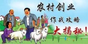 会展中心周边农民的生财之道究竟何在？