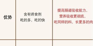 养蛋鸡和土鸡哪个更赚钱？经济效益对比分析
