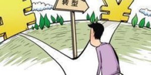 兽医行业真的如此高薪吗？揭秘兽医收入的真实情况