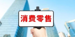 如何构建高效的副业人脉圈，助你事业腾飞？