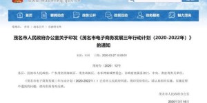 哪些是茂名地区值得一试的自助团购网站推荐？