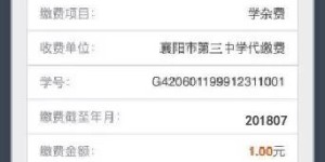 哪些自助交费平台在陕西地区受欢迎？带你探索陕西主流自助缴费选项