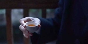 悟茶官网的地址究竟是什么？一探究竟，这里有多少精彩等你发现？