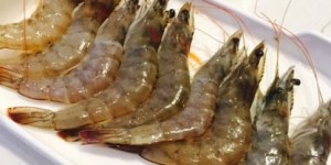 哪些网站是购买自助冰虾的首选？探索最佳自助冰虾采购平台指南