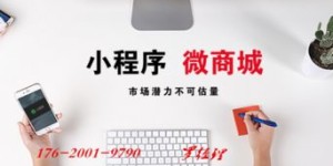 当前开发小程序的公司真的能盈利吗？市场前景如何？