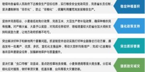 如何高效拓展线上副业，实现稳定收入增长？