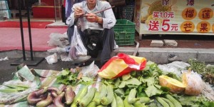 哪些是深圳地区值得一试的自助卖菜网站推荐？