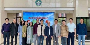哪些网站自助排名软件是真正有效的？它们的特性与优势一览