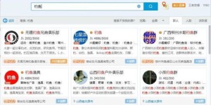 如何选择适合自己的网络副业？哪家平台更易上手且有前景？