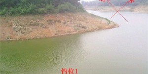 农人如何在水库捕鱼实现盈利？