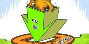 为什么有些项目盈利丰厚，而有些却陷入亏损困境？