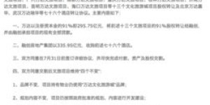 万达文旅项目盈利情况如何？是否真的能带来丰厚回报？
