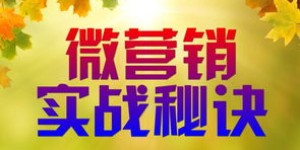 面膜微商如何招商代理？探寻成功之路的秘诀在哪？
