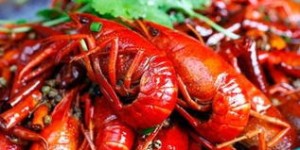 卖炒龙虾真能盈利吗？揭秘龙虾生意背后的赚钱真相