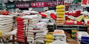 哪些自助选菜平台在濮阳受欢迎？探索本地选菜新体验！