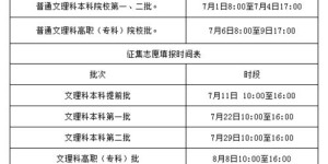 在使用公告自助平台时，应该填写哪个密码才能登录？