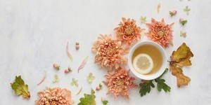 副业画师如何巧妙绘制章鱼爪的独特魅力？