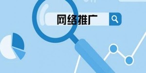 选择优化推广公司有哪些关键因素？如何高效利用网络推广？