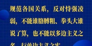 金旋风究竟是什么？带你深入了解其独特魅力与背景故事