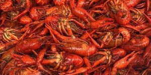 在株洲，哪里可以找到最佳的龙虾自助团购平台？