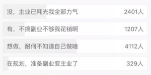 嘉善有哪些高收益副业公司？具体地址在哪里？