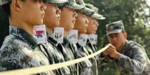 新兵如何确定兵种分配？揭秘军营分配机制