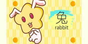七五年属兔人最适合的赚钱行业有哪些？