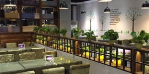 在中山寻找哪家自助寿司店最值得一试？探店网站带你发现惊喜！