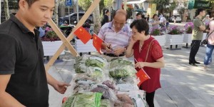 上海志愿者参与卖菜活动，能否实现盈利？