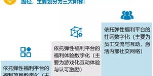 如何打造一个成功的副业宠物代养平台？你需要注意哪些关键点？