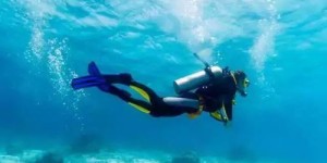 在众多国外自助游网站中，哪一个最受旅行者青睐？