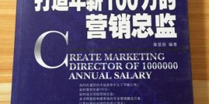 销售总监年薪几何？揭秘一般销售总监的福利待遇全览