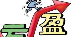 轻鱼平台如何实现高效盈利？你真的了解它的赚钱之道吗？