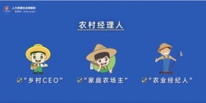 农村副业究竟指的是什么？深入了解其定义与内涵