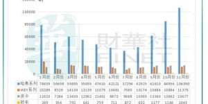 比亚迪股票真的能带来稳定收益吗？