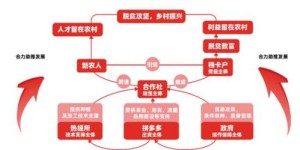 你真的了解平多多助力记录背后的运作机制吗？