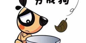买花真的不赚钱？这些搞笑图片揭露了什么真相？