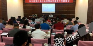 外企采购系统女生如何开启副业之路？