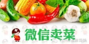 微信上卖哪些美食最赚钱？你选对了吗？