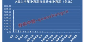 做字幕工作者如何实现盈利？收入来源有哪些？