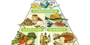 究竟哪种食物最优质，消化吸收效果最佳？