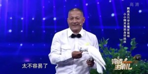 王鹤隶的副业究竟是什么？他如何在演艺之外开辟新天地？