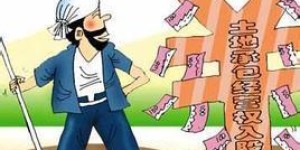 农村合作社经营效益如何？农合真的能带来可观收益吗？