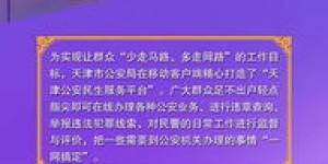 如何使用公安自助服务平台APP进行网上服务？