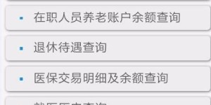 如何使用武汉市社保自助平台？这是您的优化指南吗？